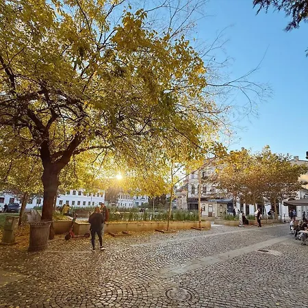Sol - Old Town Centre I Cheap Carpark Nearby I Balcony דירה *